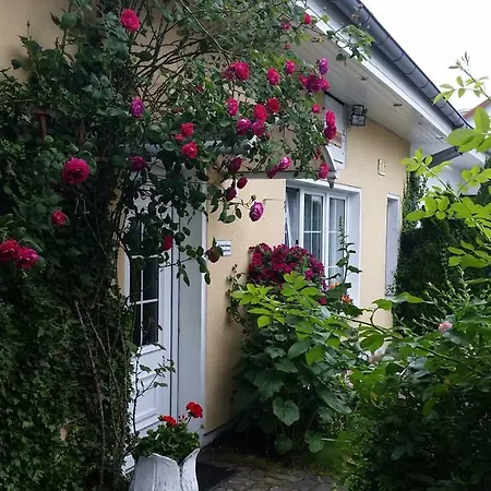 Haus Sandra Heringsdorf  Exterior photo