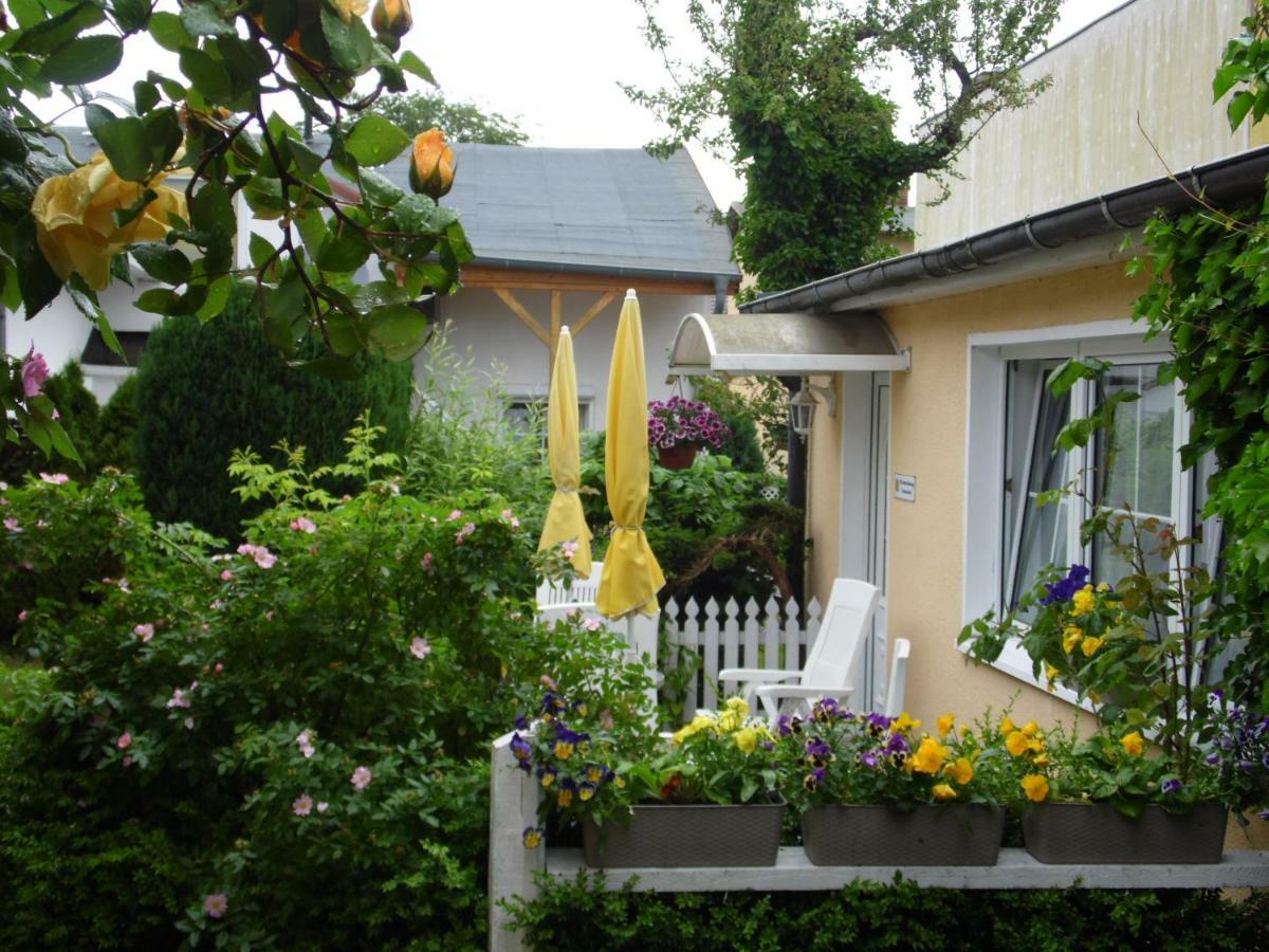 Haus Sandra Appartement *
