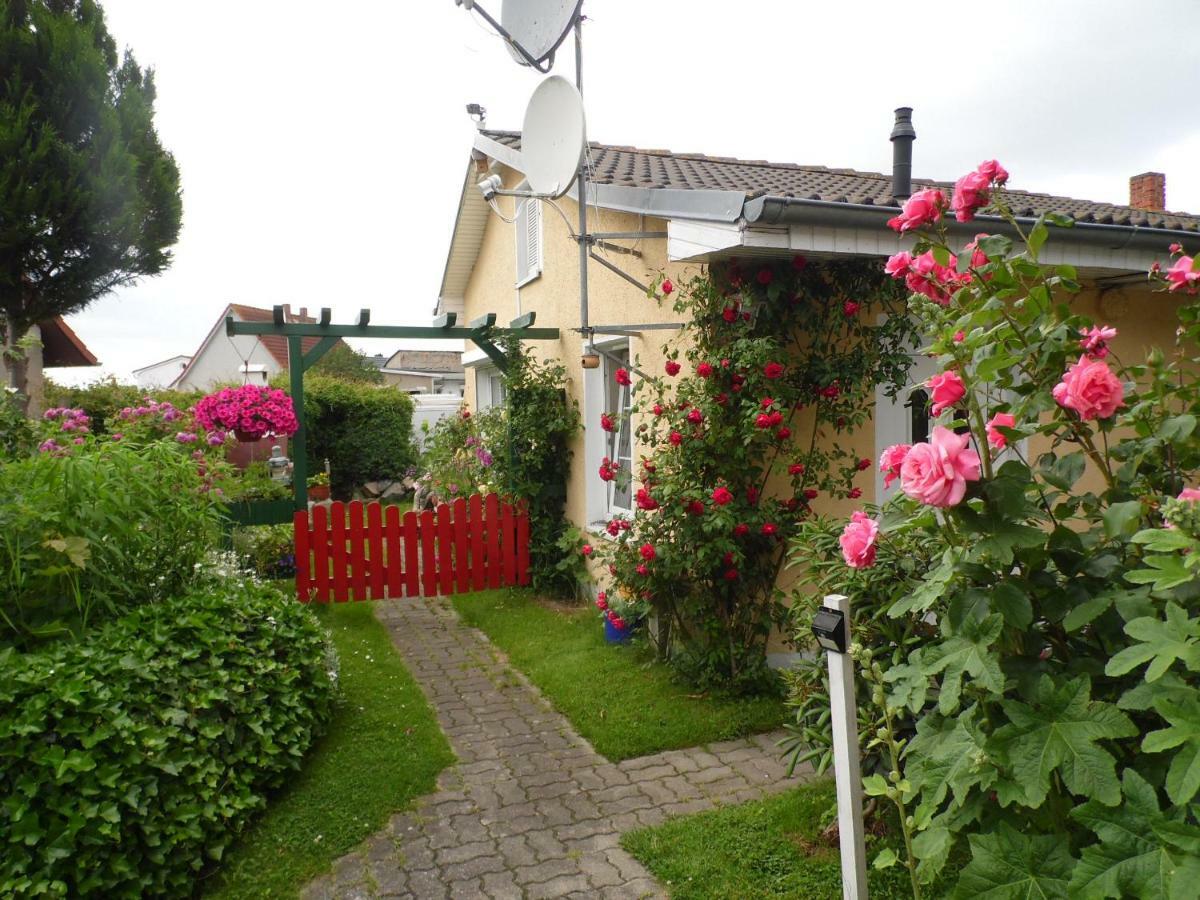 Haus Sandra Apartment *