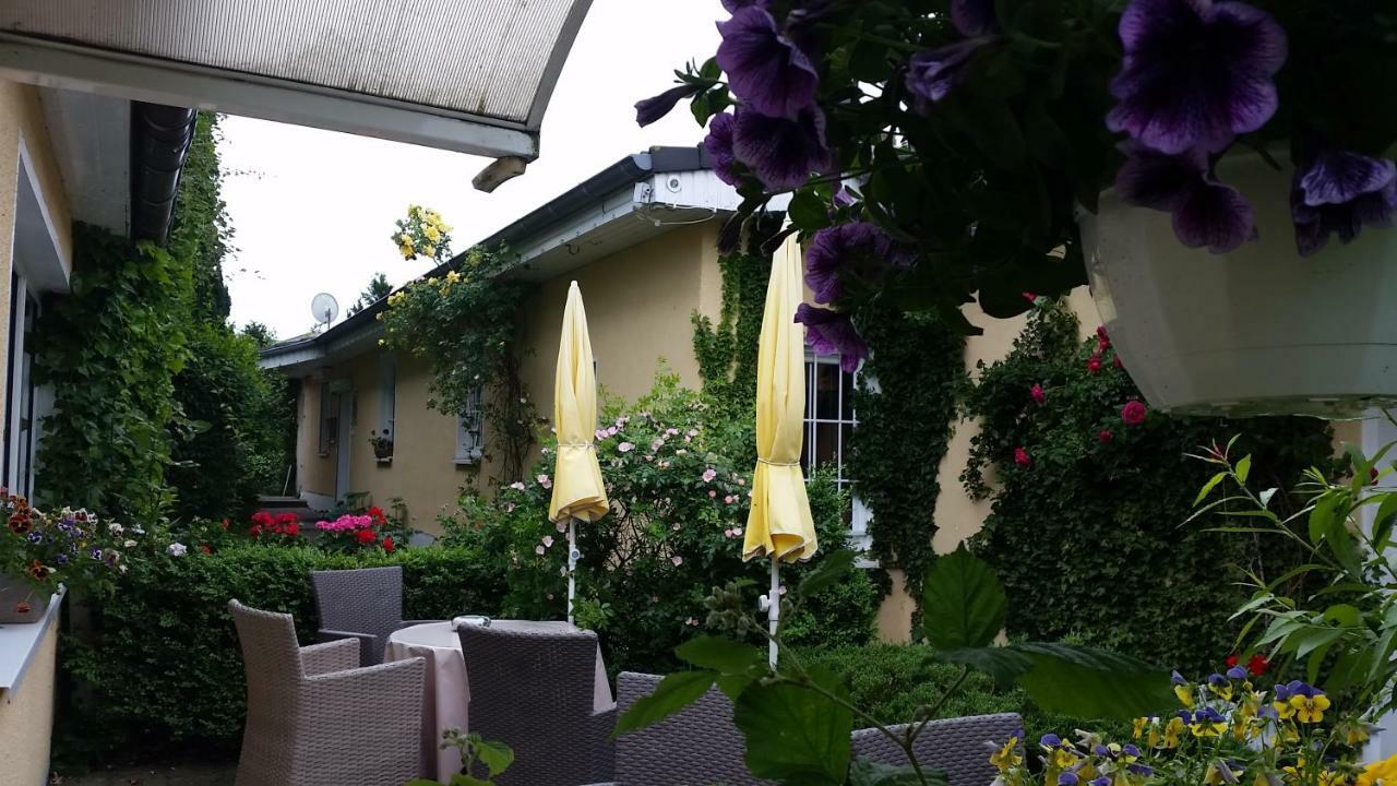 Haus Sandra Apartment