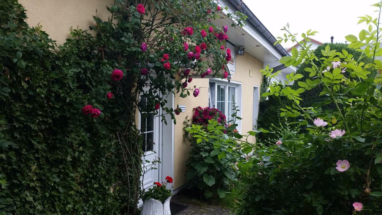 Haus Sandra Apartment
